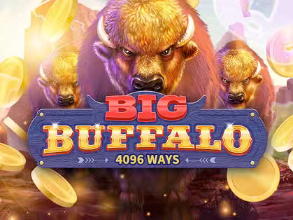 Big Buffalo